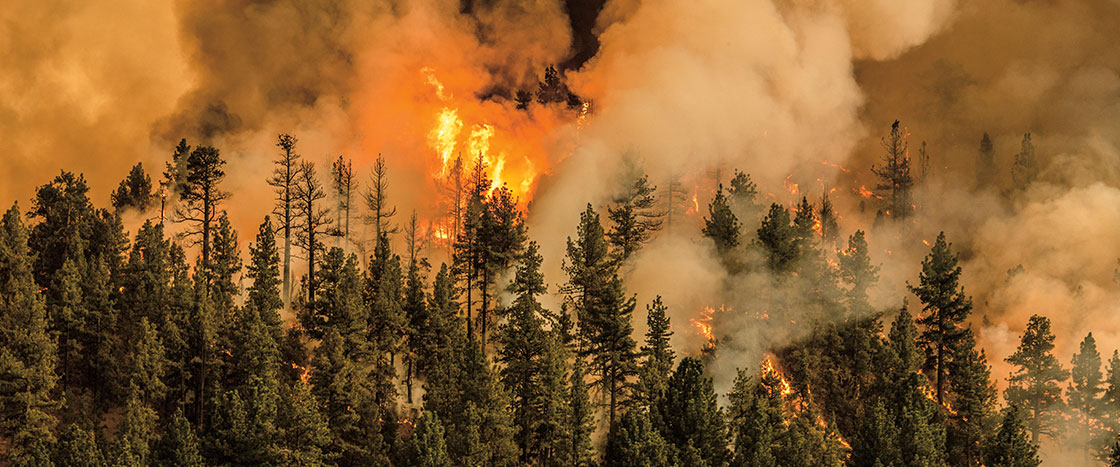 a big fire in a forest